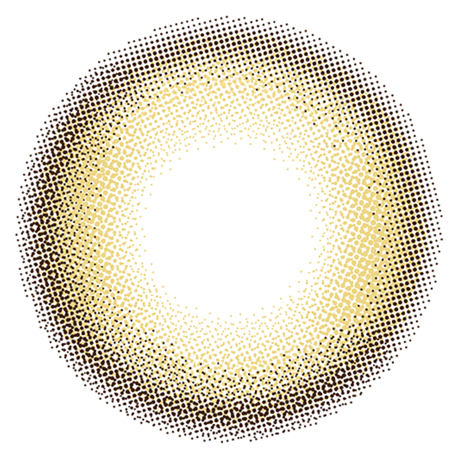 링이에로골드 | 1day