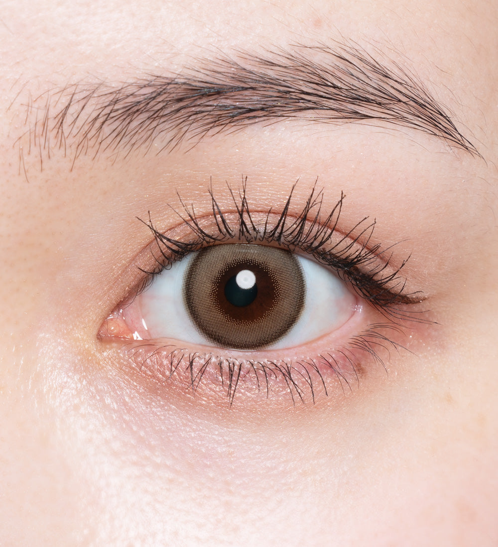 リュヌベージュ | 1วัน