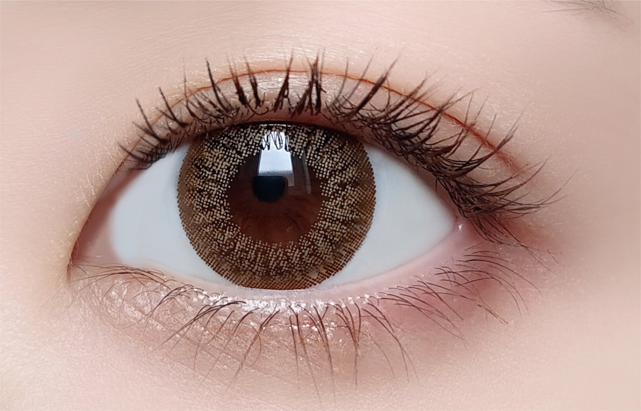 Mimi's Bar | 1 ngày