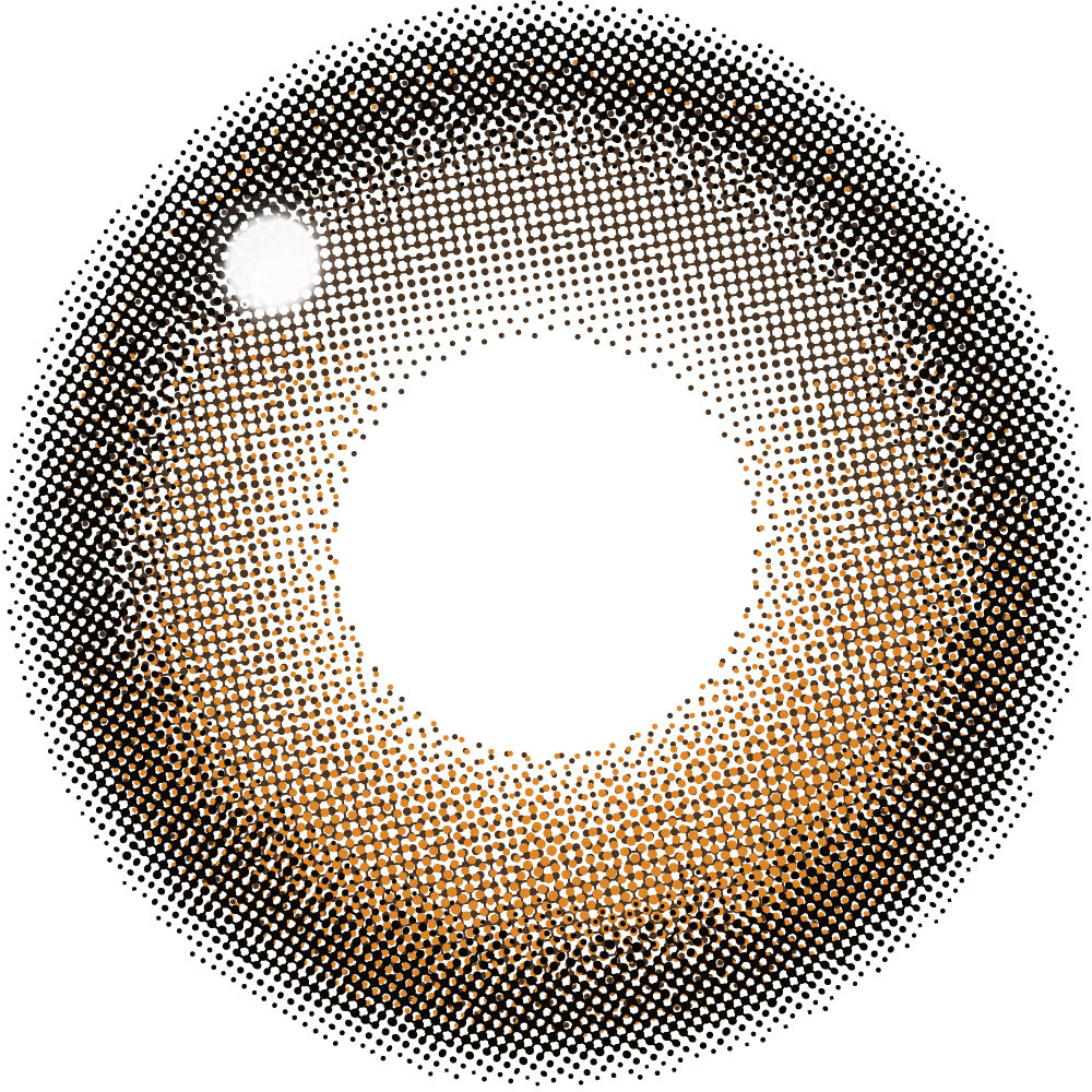 버터 브라운 | 버터 브라운 1일용