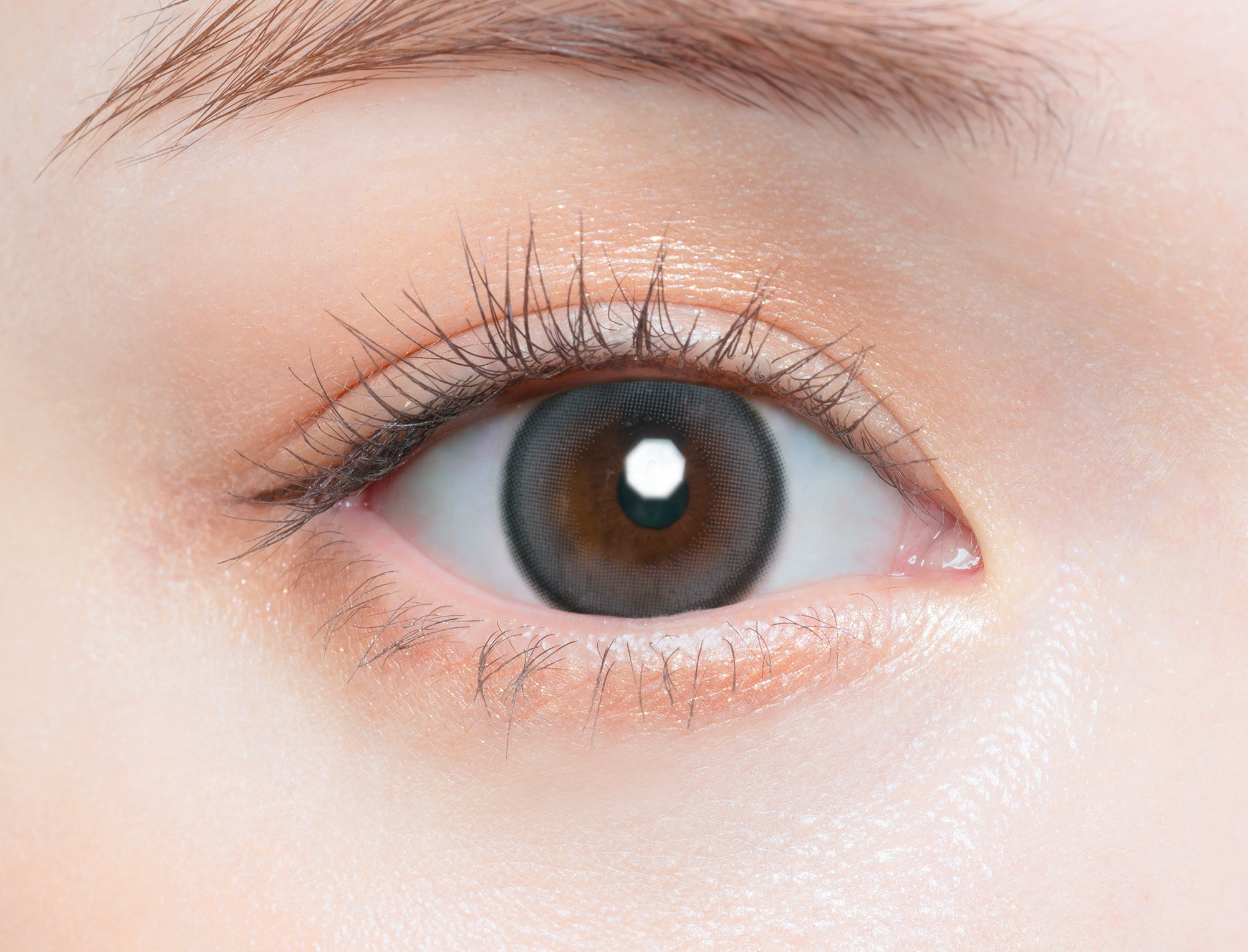 soroCinzento | 1 dia