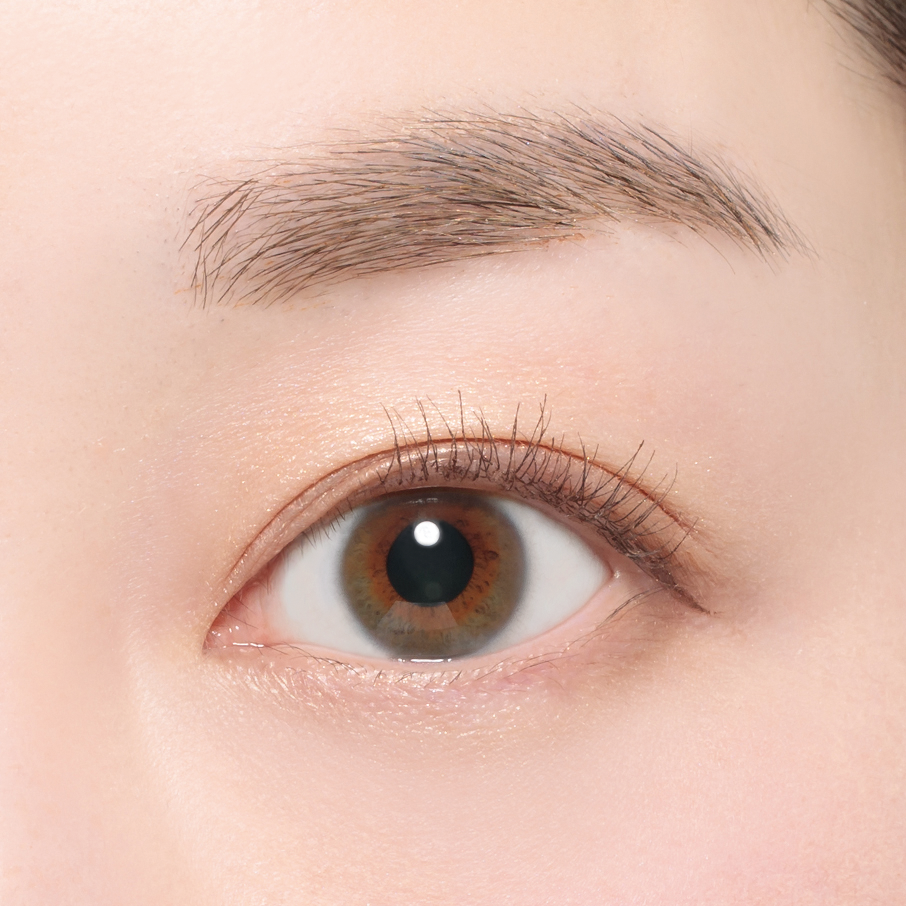 عدسة شفافةعدسات | 1 يوم