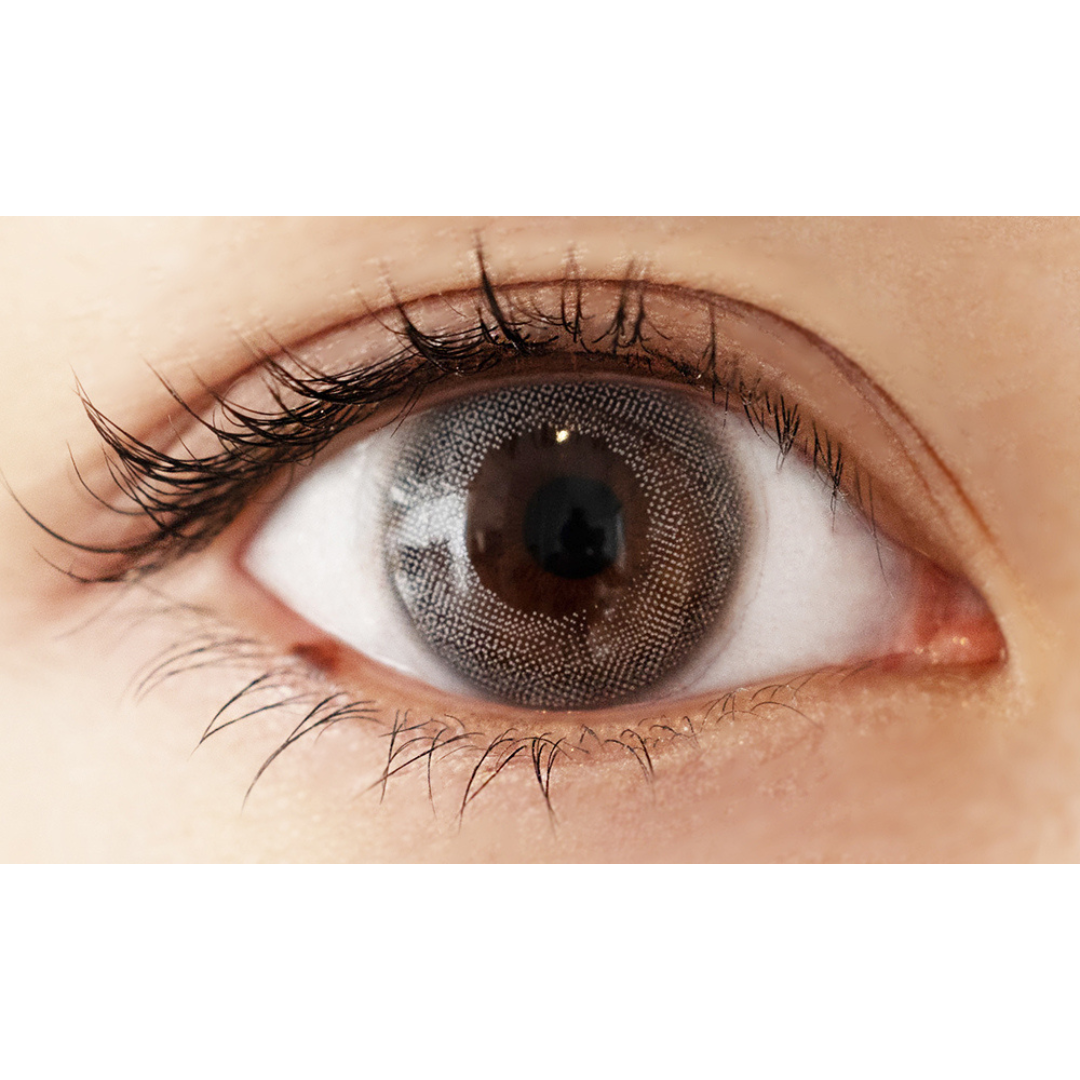 Người Mỹ・Xám | 1 ngày