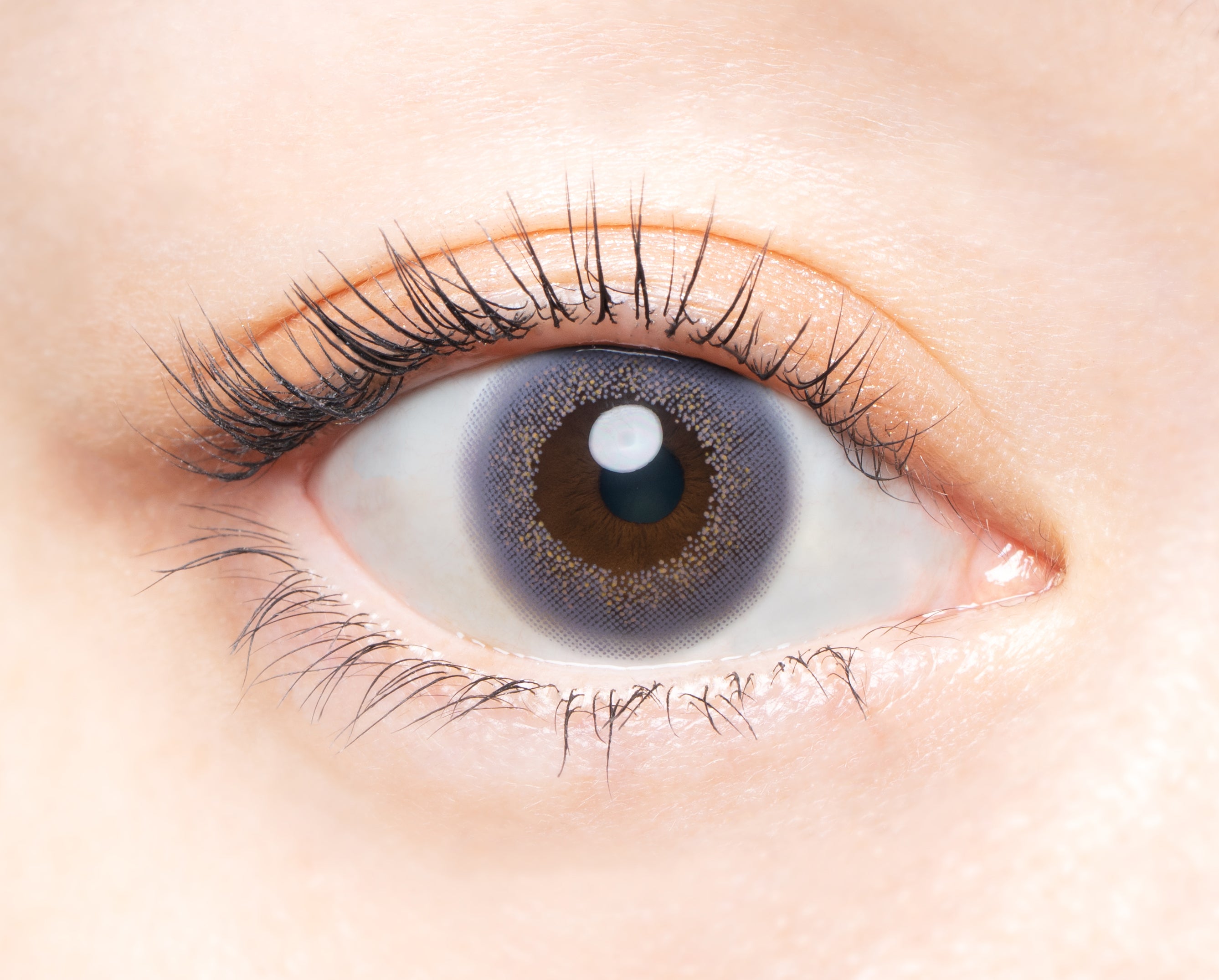 Vintaj Labender | 1hari