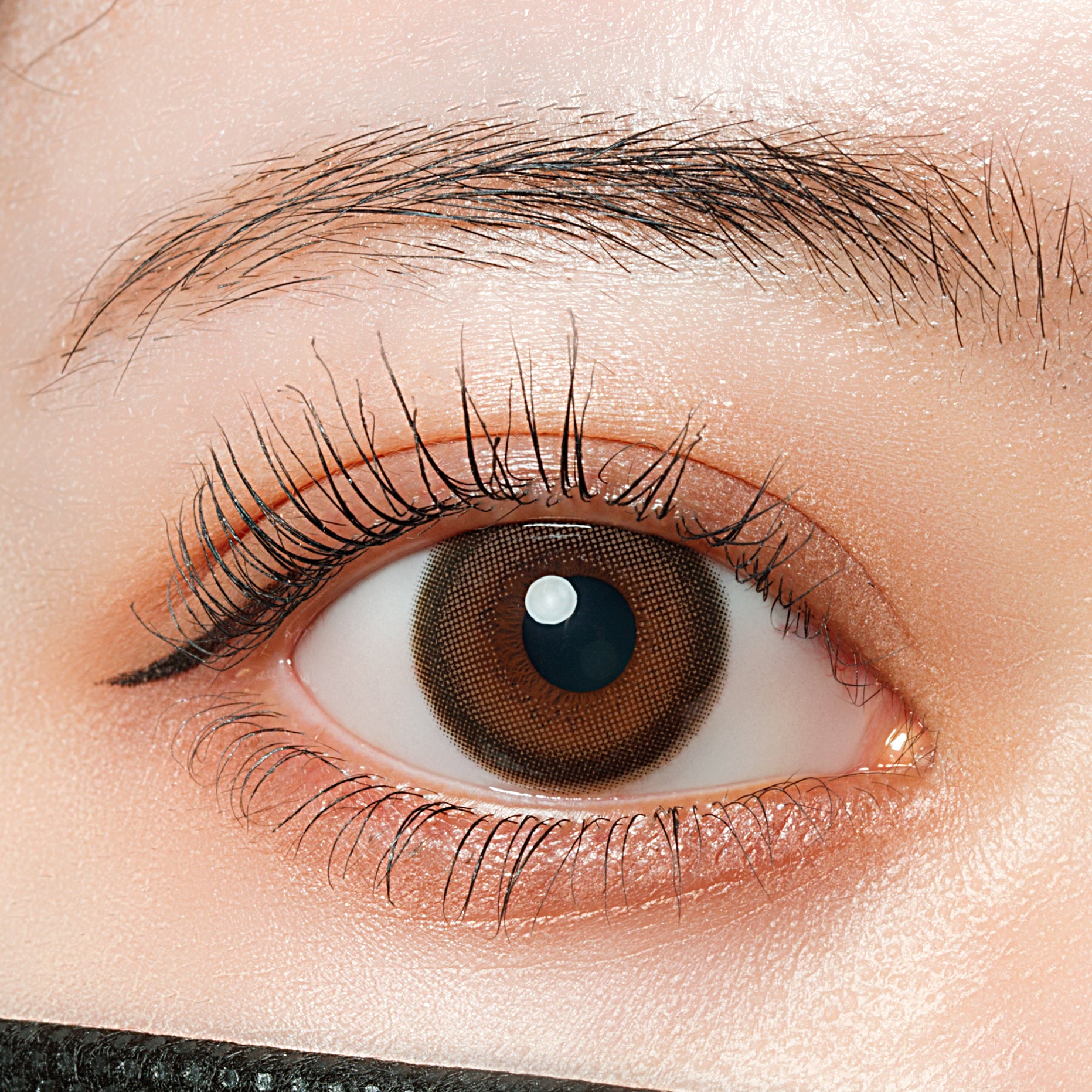 الثلجالرماديبني | 1 يوم