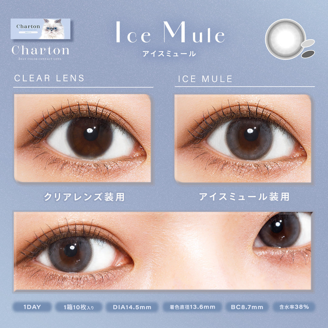 Mule băng | 1 ngày