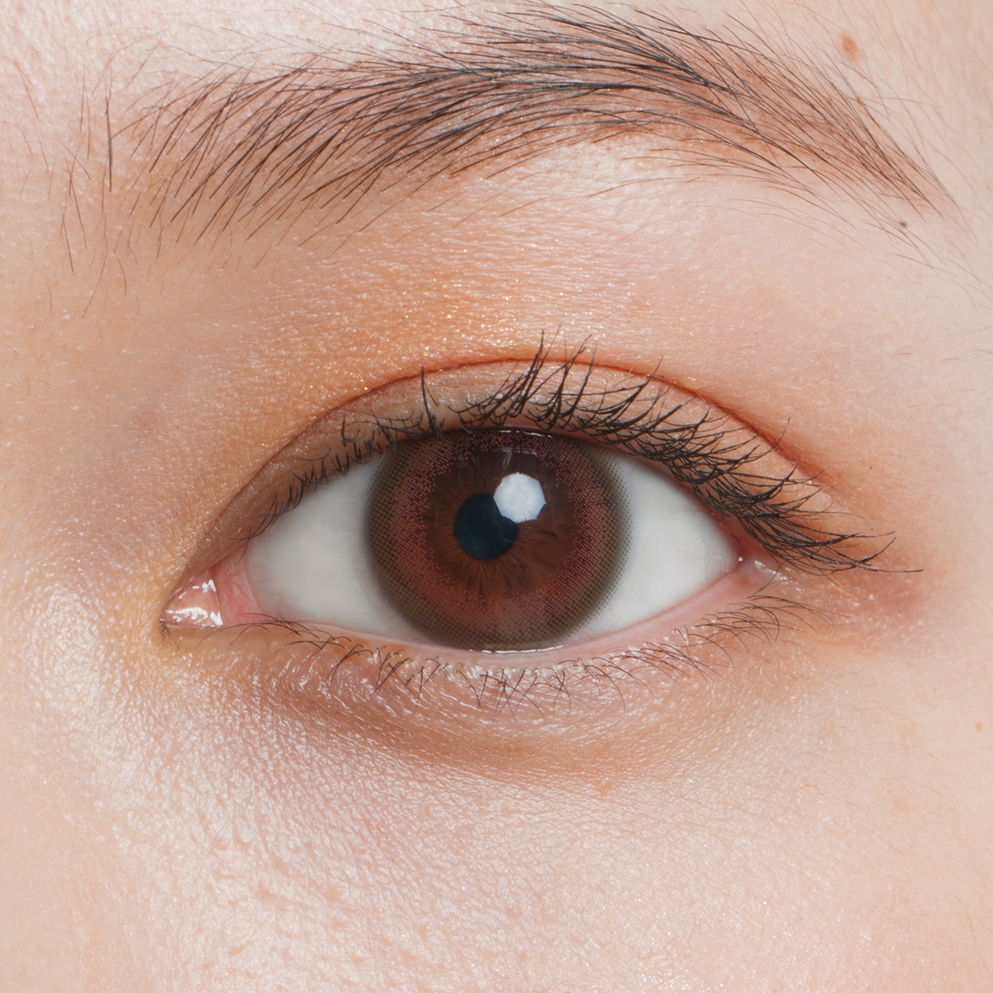 Bông Olive | 2 tuần