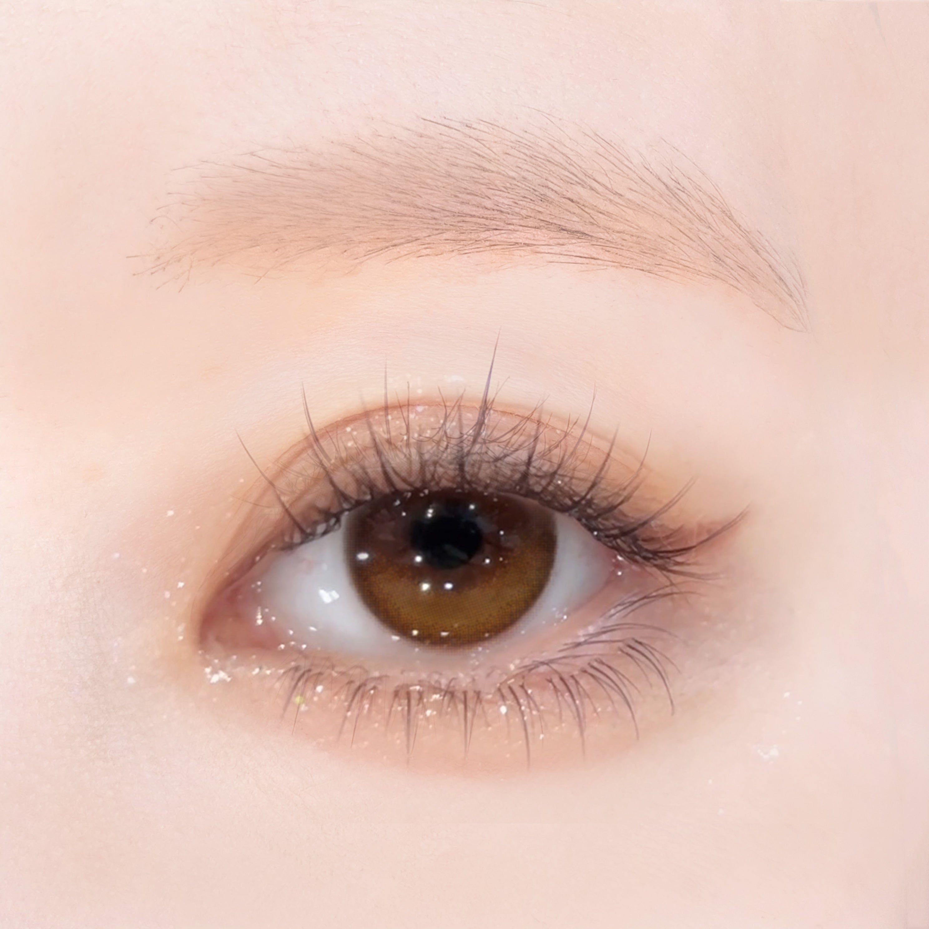 เมียสีน้ำตาล | 1วัน