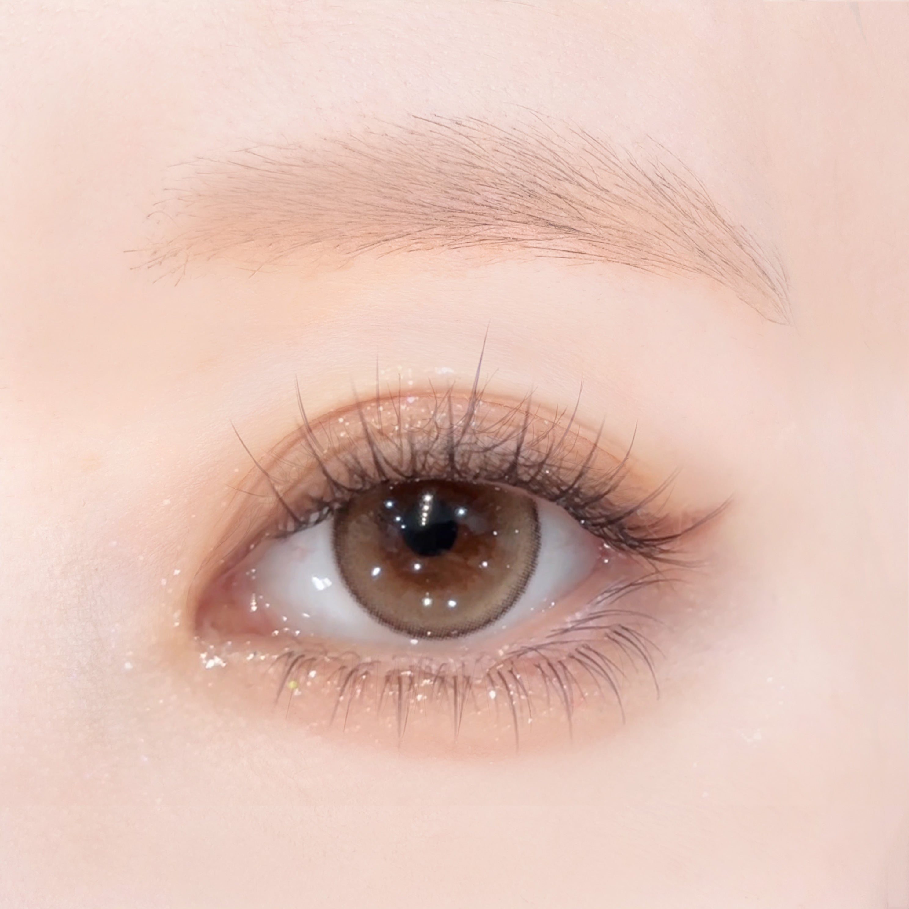 셀레나브라운 | 1일용