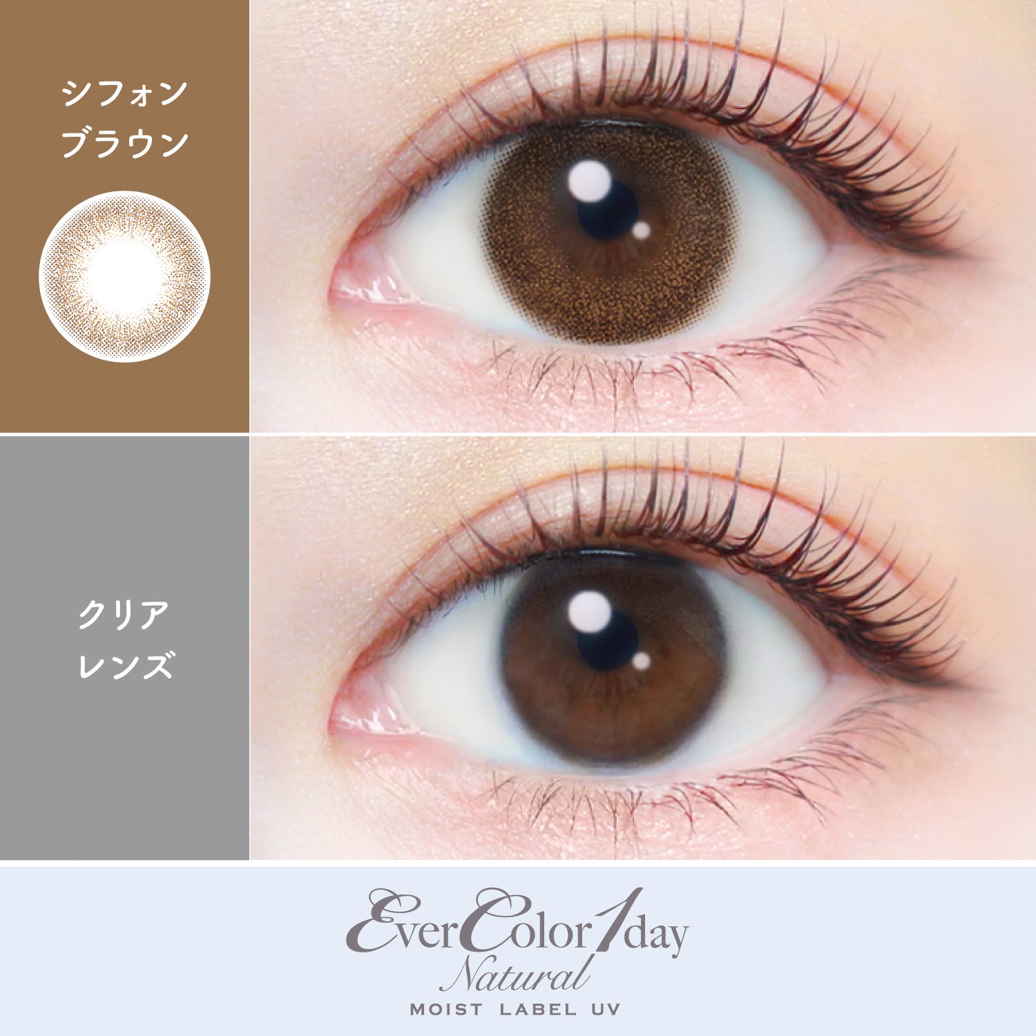 ชิฟอนสีน้ำตาล | 1วัน
