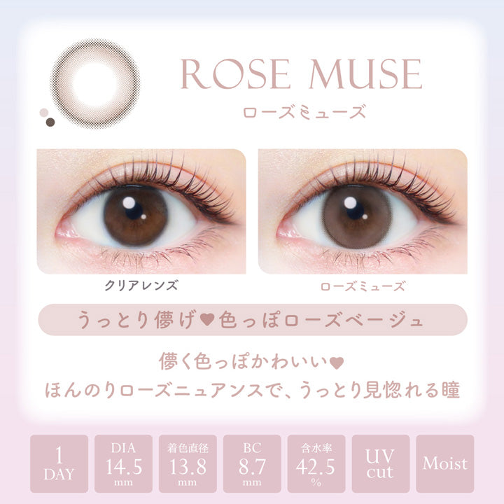 Rose Muse |. 1 dia
