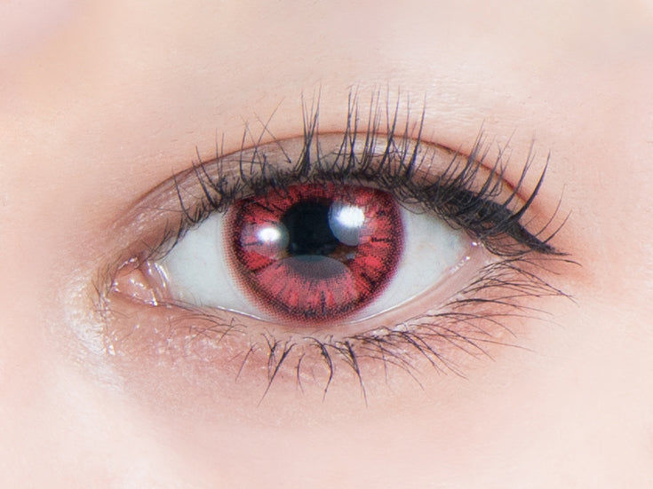 Hợp đồng máu | 1 ngày