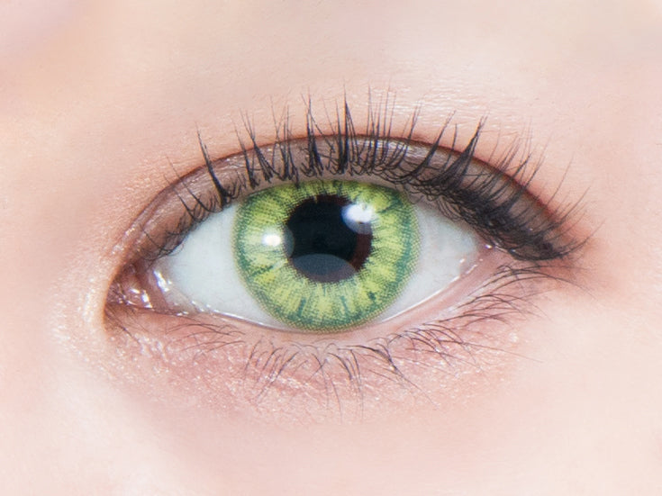 Trong vườn thu nhỏ | 1 ngày