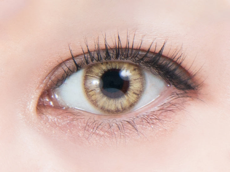 Búp bê máy du lịch | 1 ngày