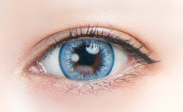 صفصاف القطط | 1 يوم