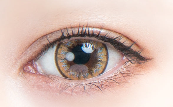 Strelitzia. 1 giorno