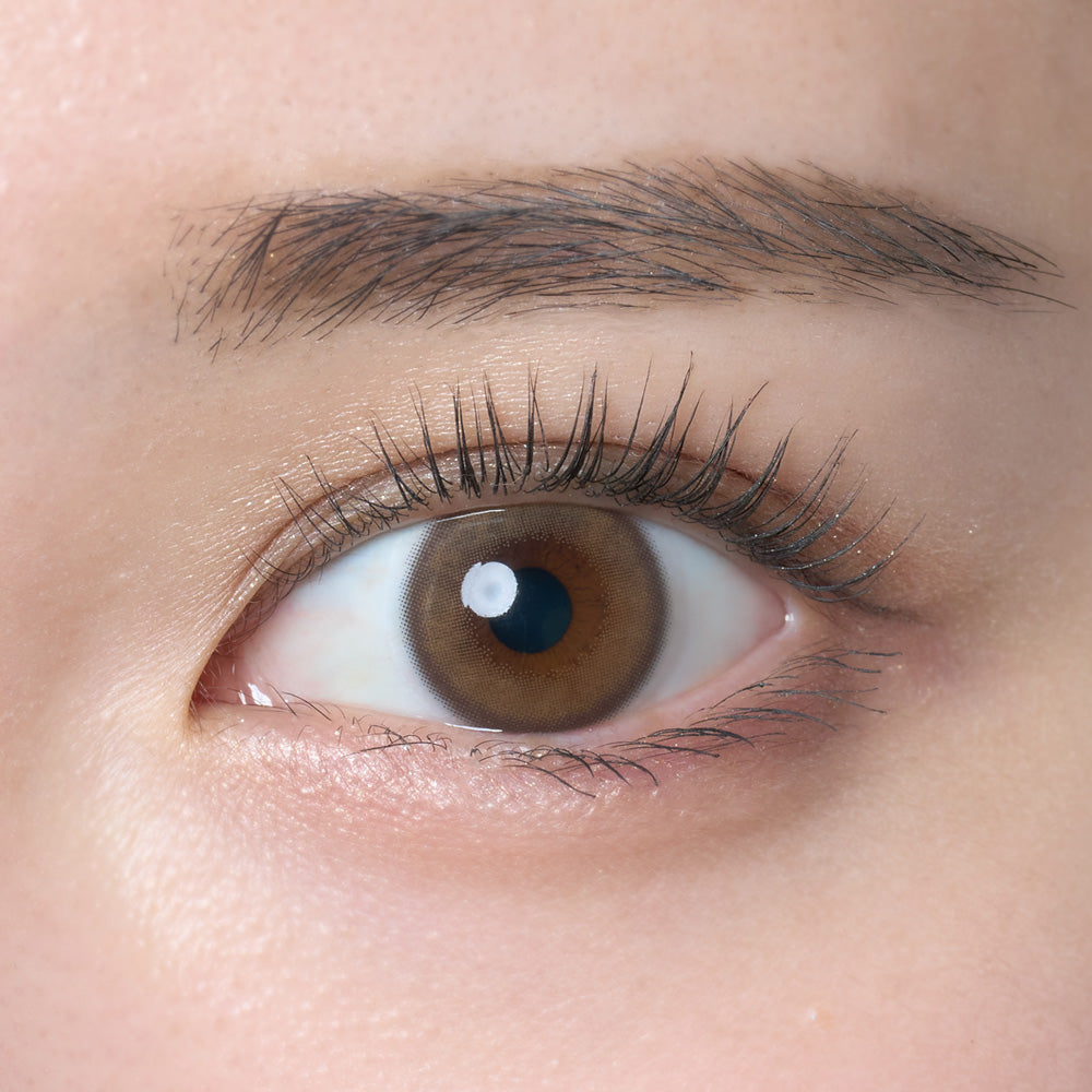 Kaca pembesar | 1hari