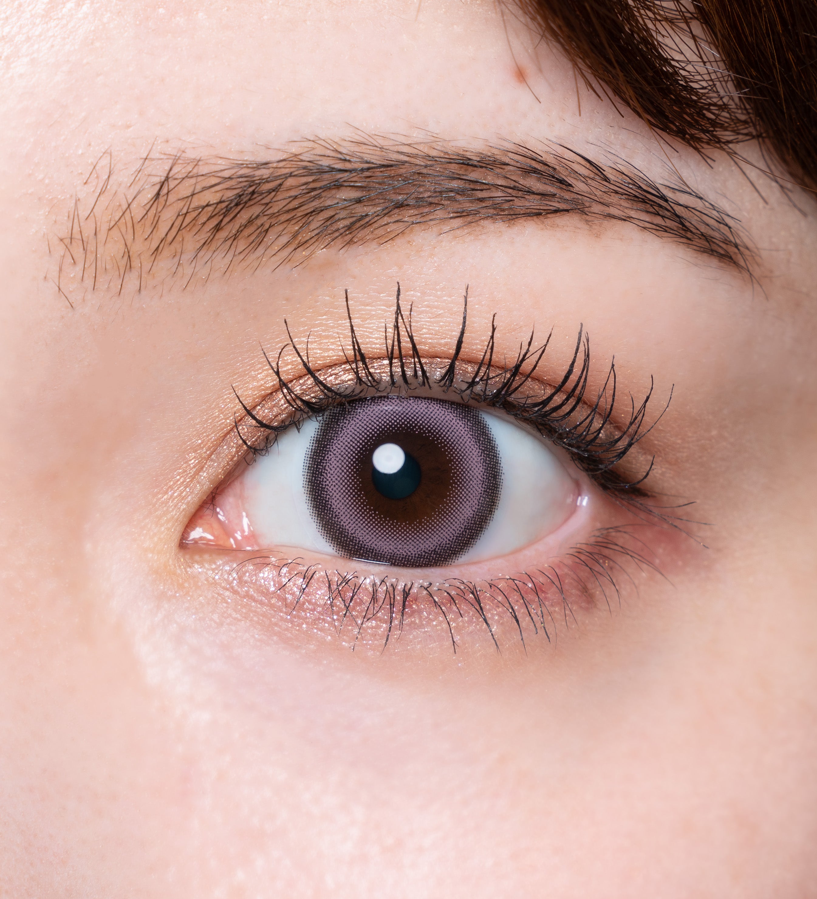 아뮈르 로제 | 아뮈르 로제 1일용