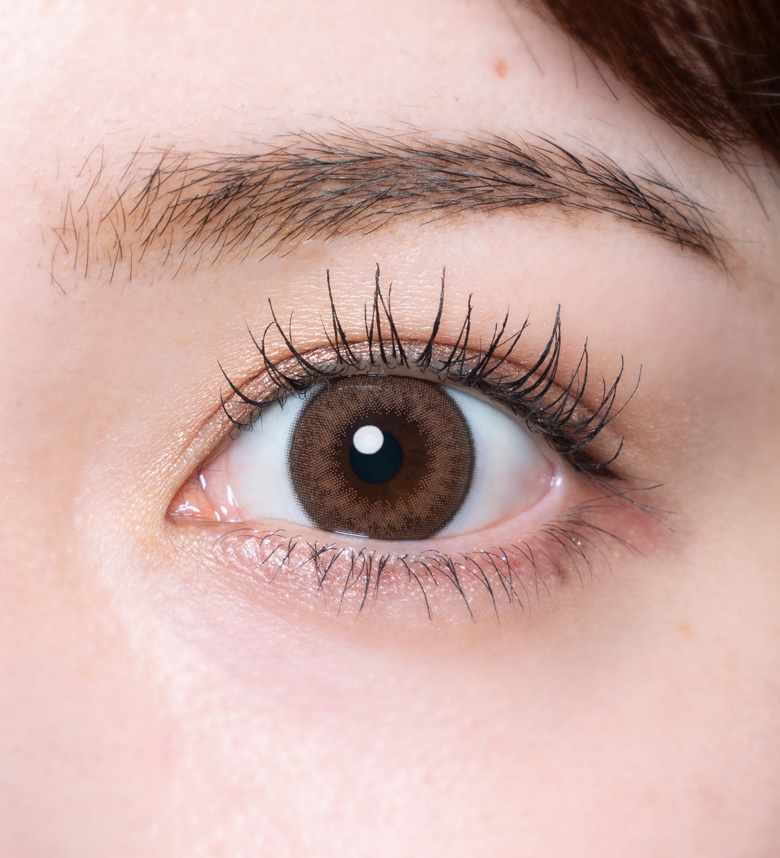 charmeMarron | 1 jour