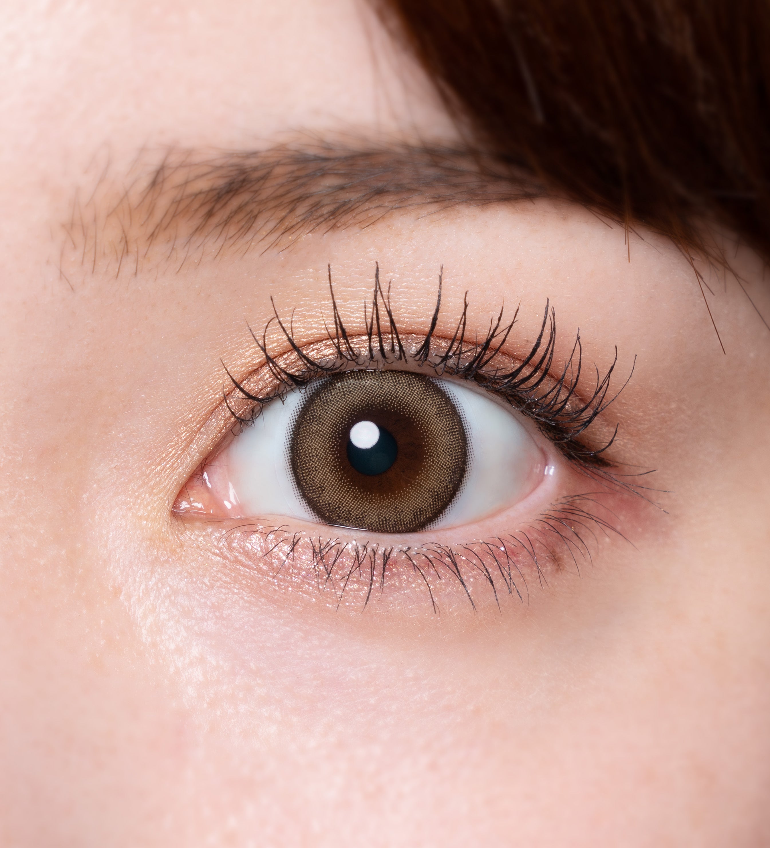 노와 베이지 | 노와 베이지 1일용