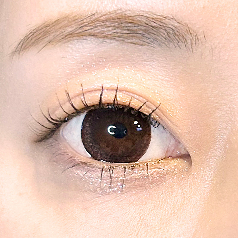 돌체브라운 | 1day