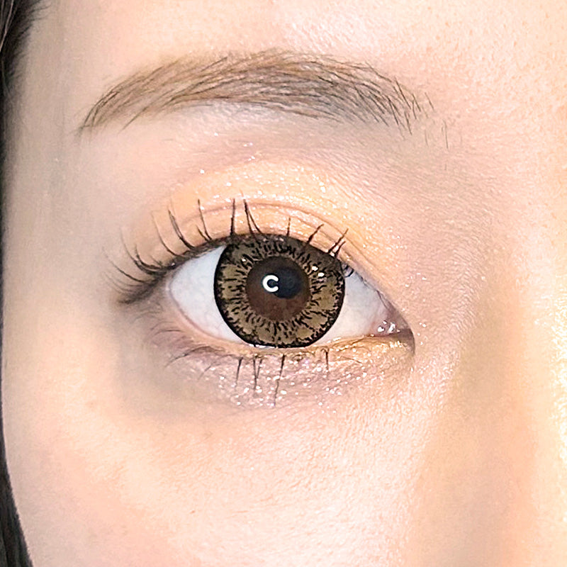 Dulce coklat perang | 1day