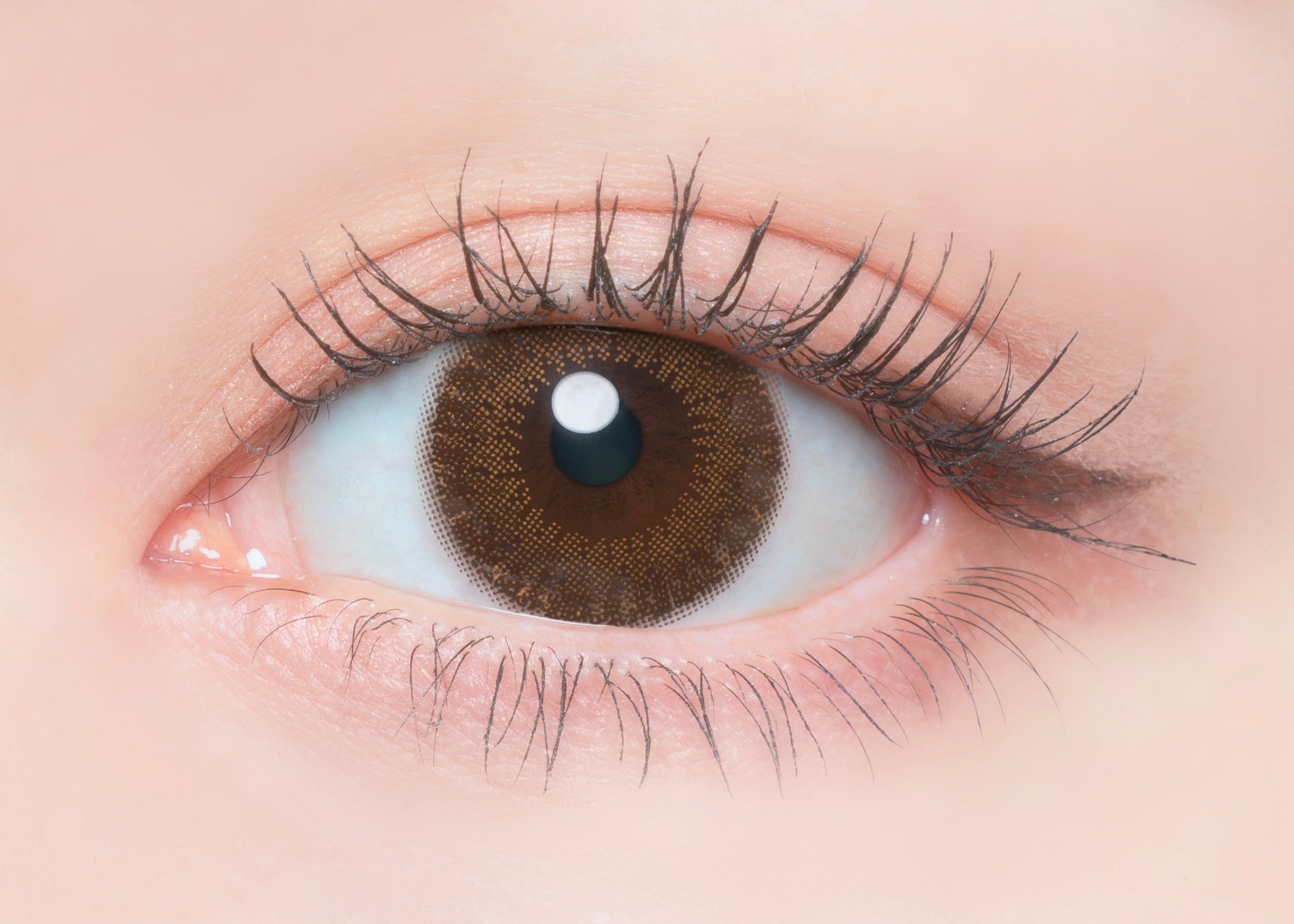 Tarte au chocolat |. 1 jour