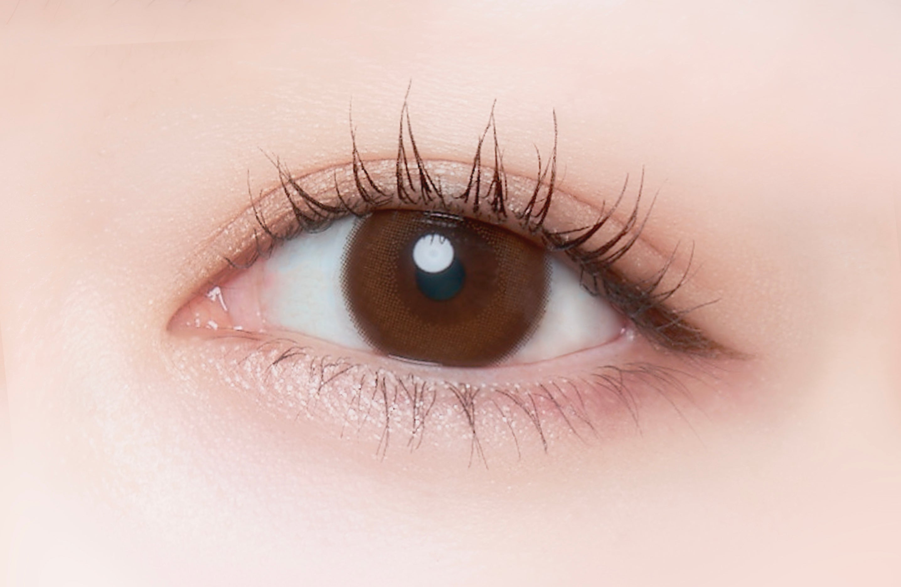 เชียร์ลีดเดอร์ | 1วัน