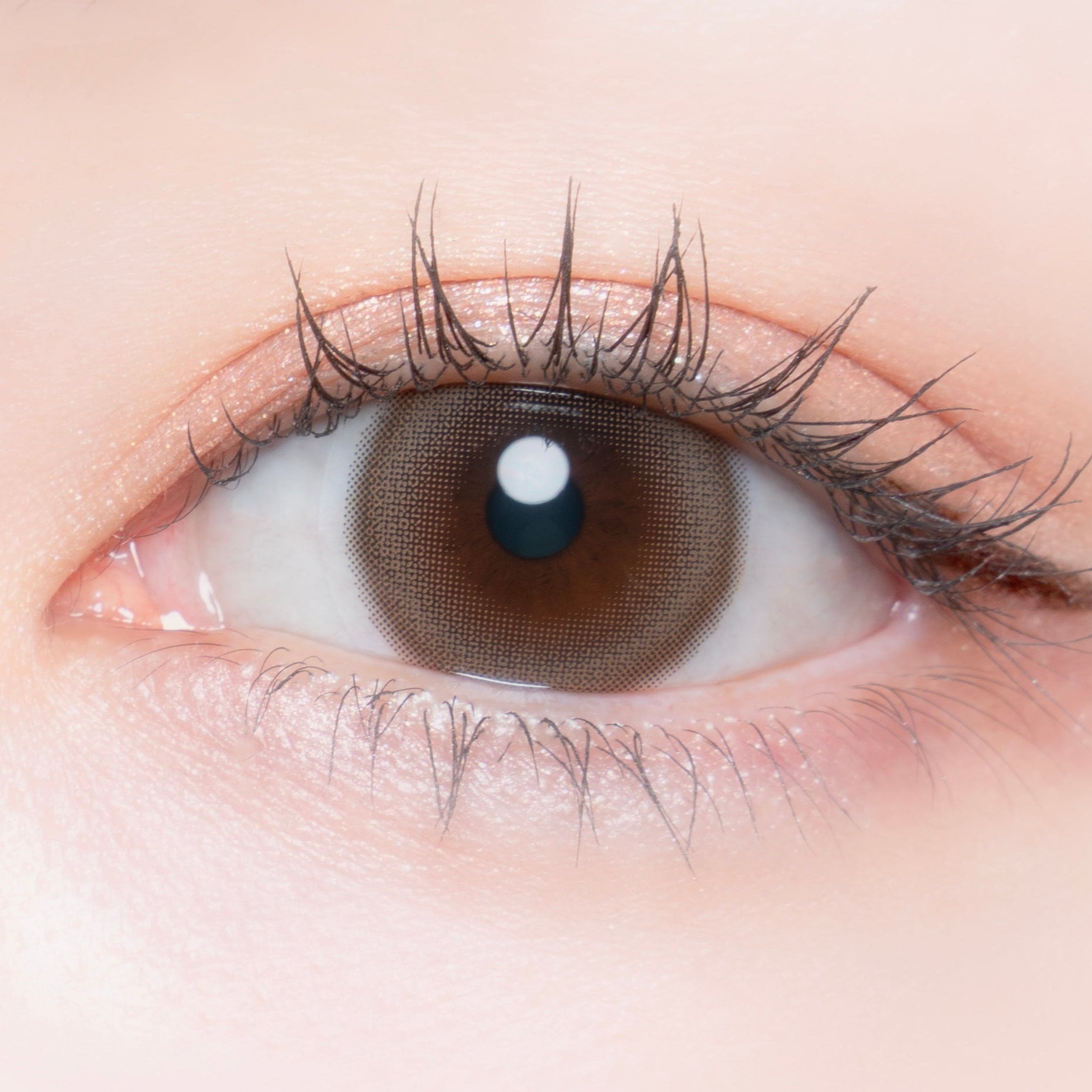 โคโคมูโด | 1วัน