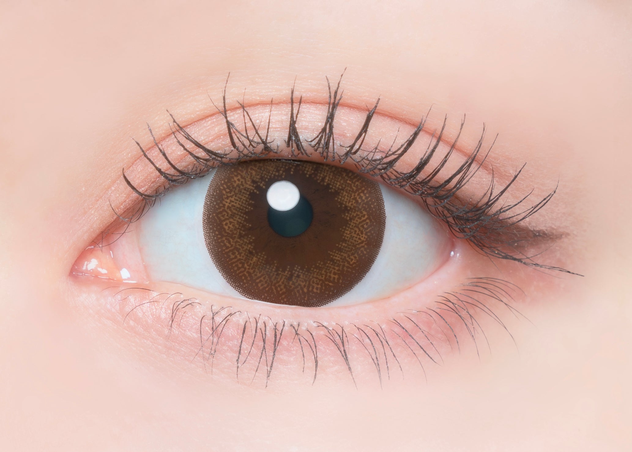 donutCastanho | 1 dia