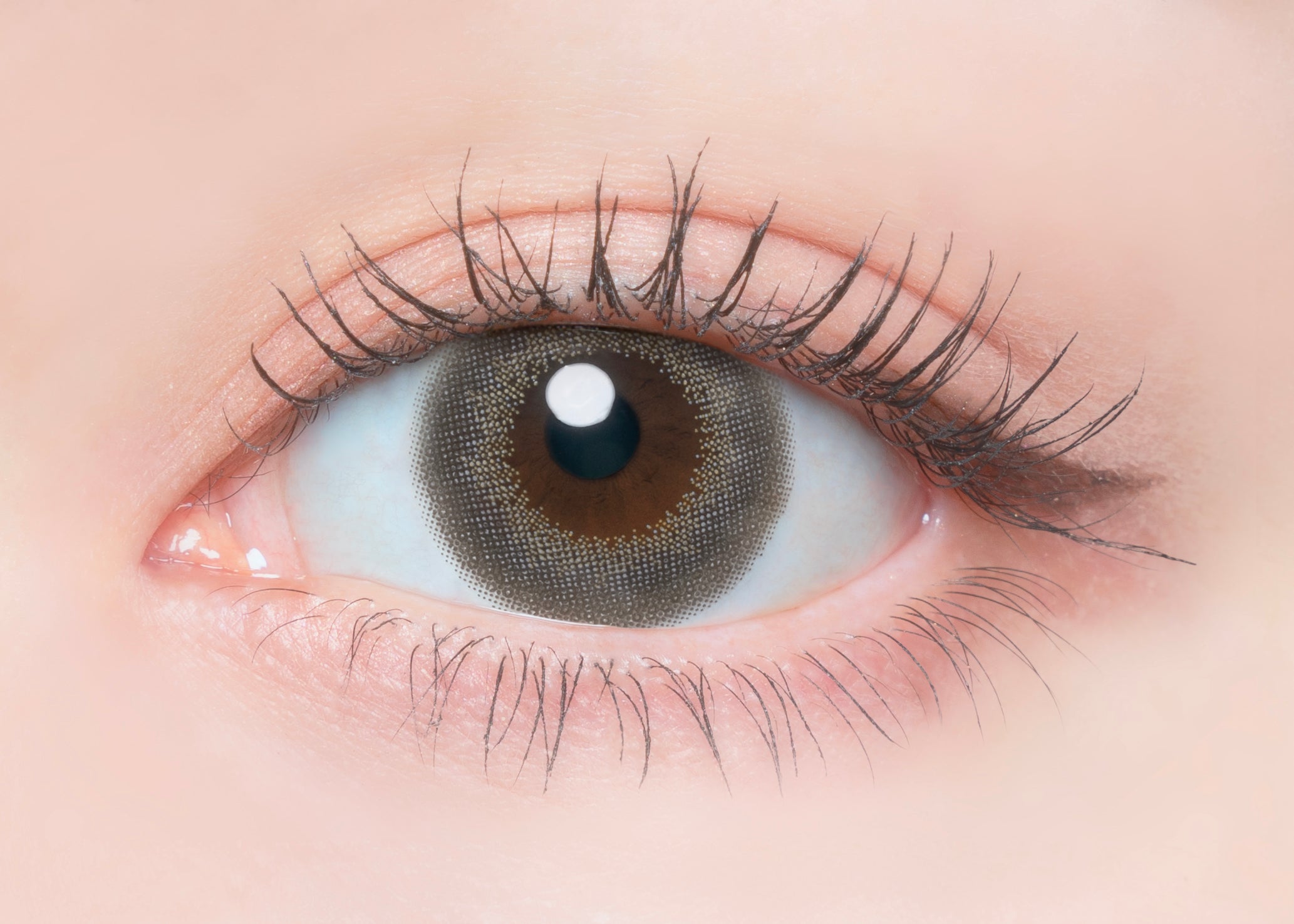 Baume au sésame |. 1 jour