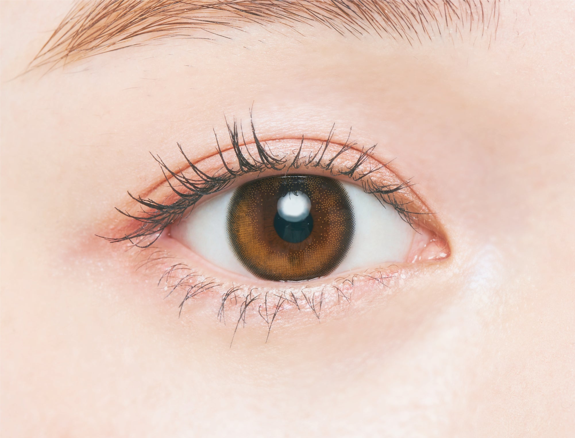 カラーコンタクトレンズ、Chu’s me グロスブラウン | 1dayを装用した状態の目のアップ画像