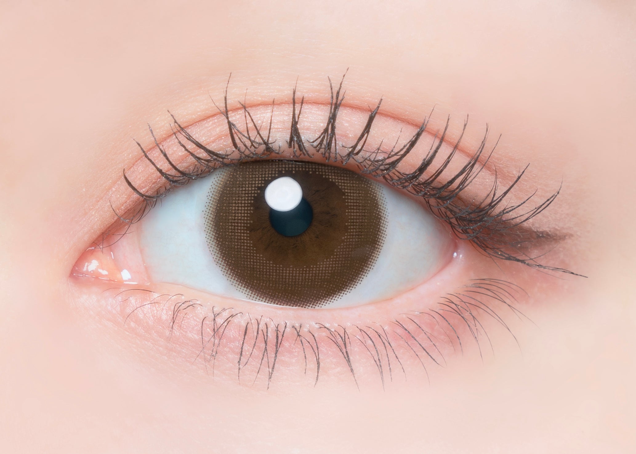 Kinako cuộn | 1 ngày