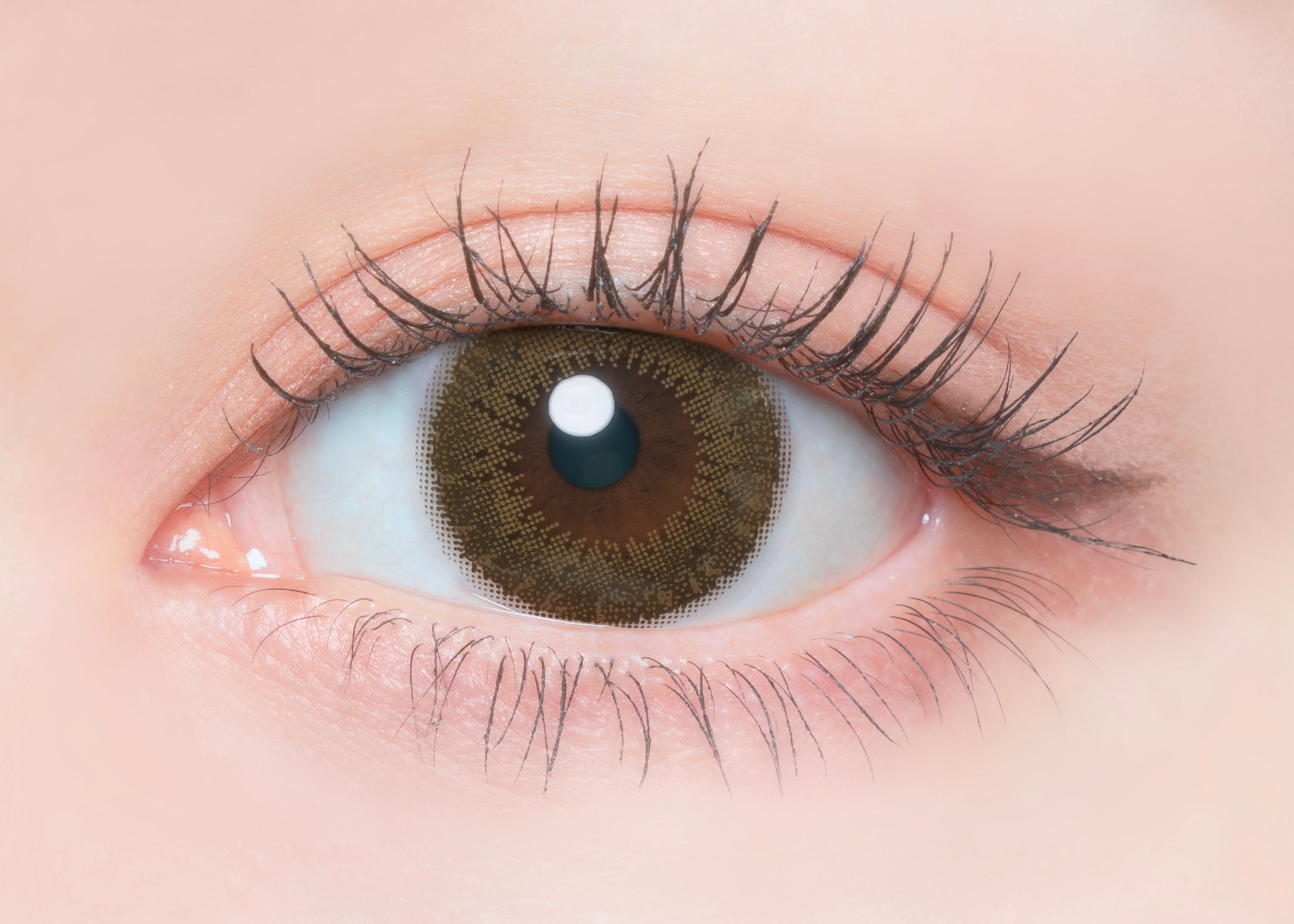 Crostata di Macha. 1 giorno