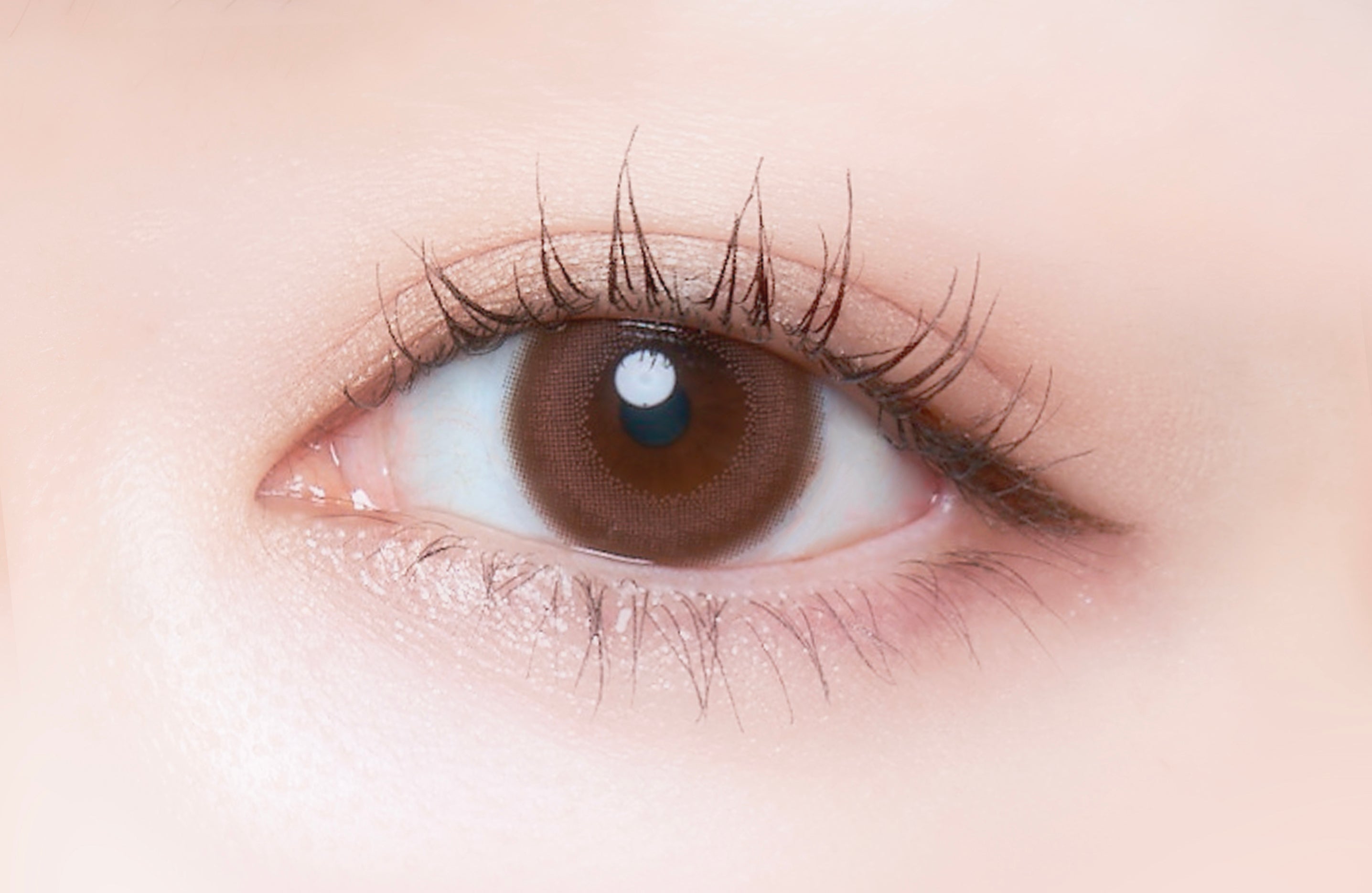 เมโรウโรเซ | 1วัน