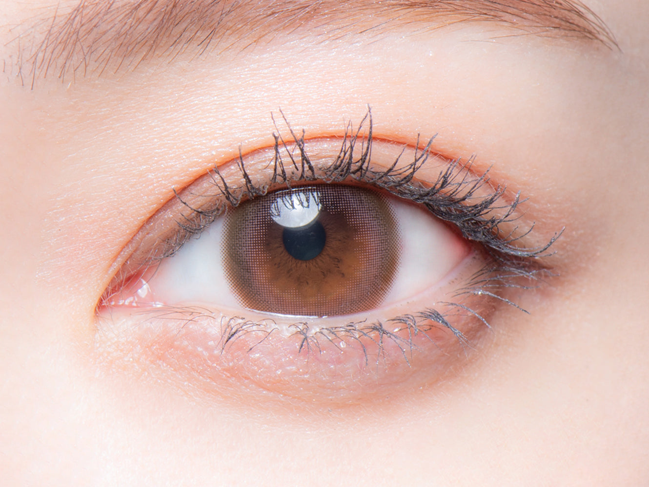 โรแมนติกโรส | 1วัน