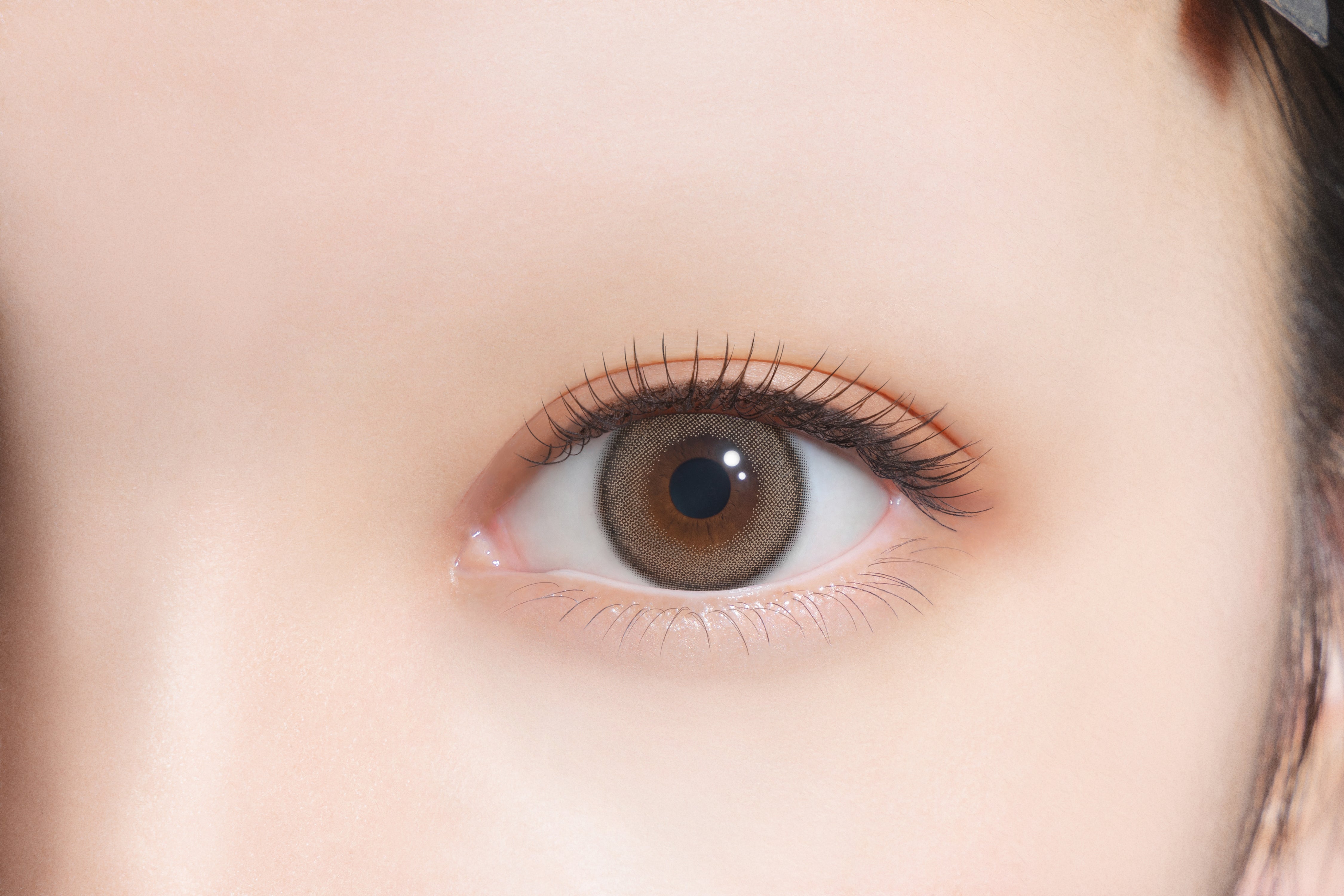 บลูเรสีน้ำตาล | 1วัน