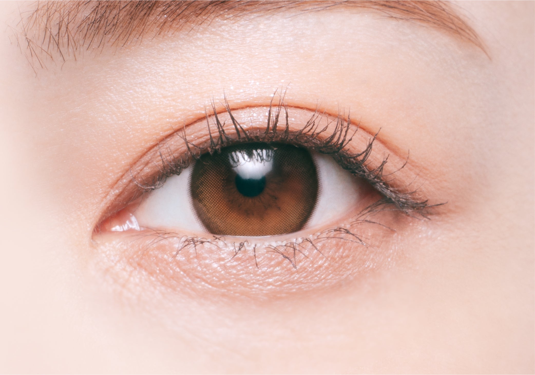 Muler Drop | 1 ngày