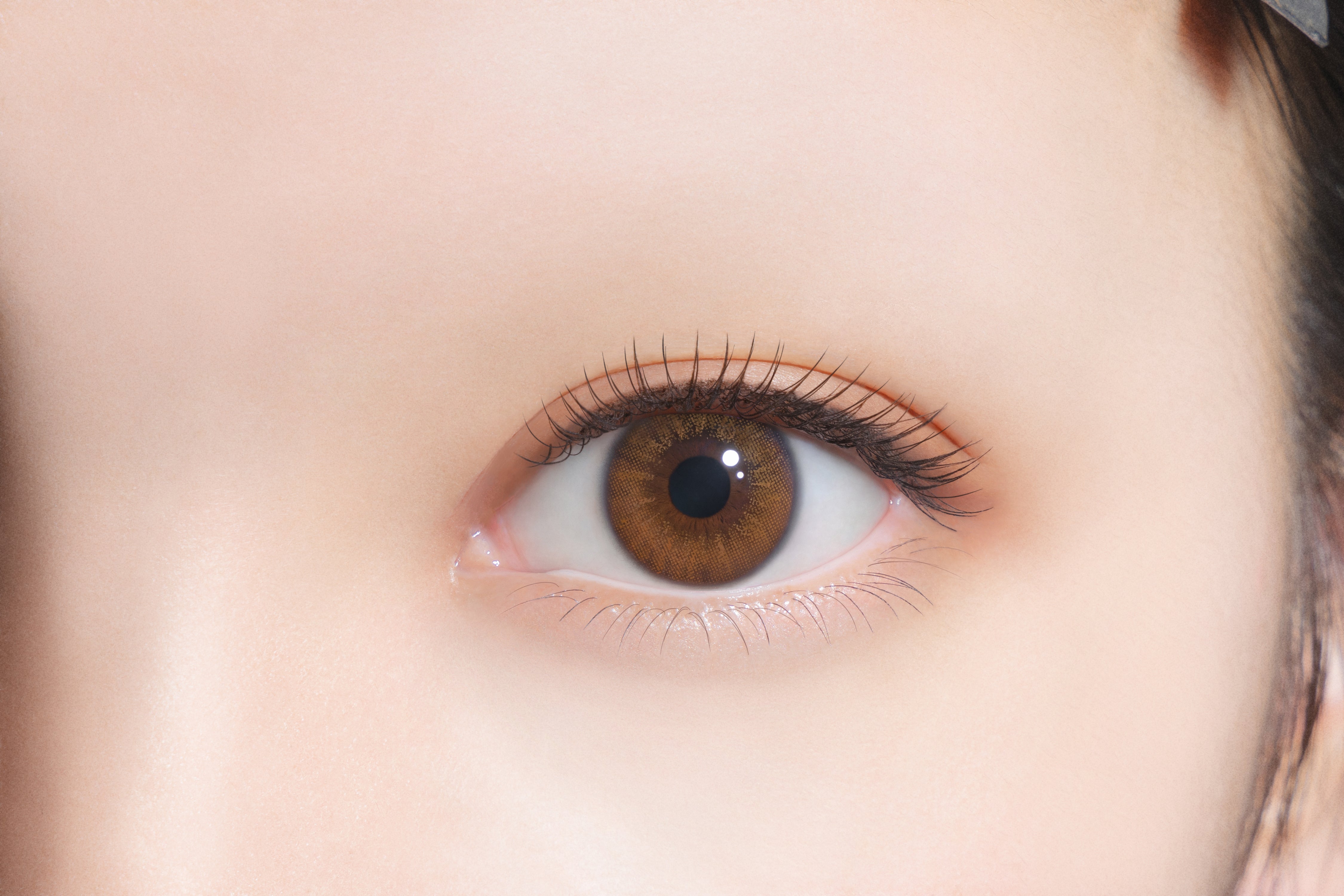 tutu secretoCastanho | 1 dia