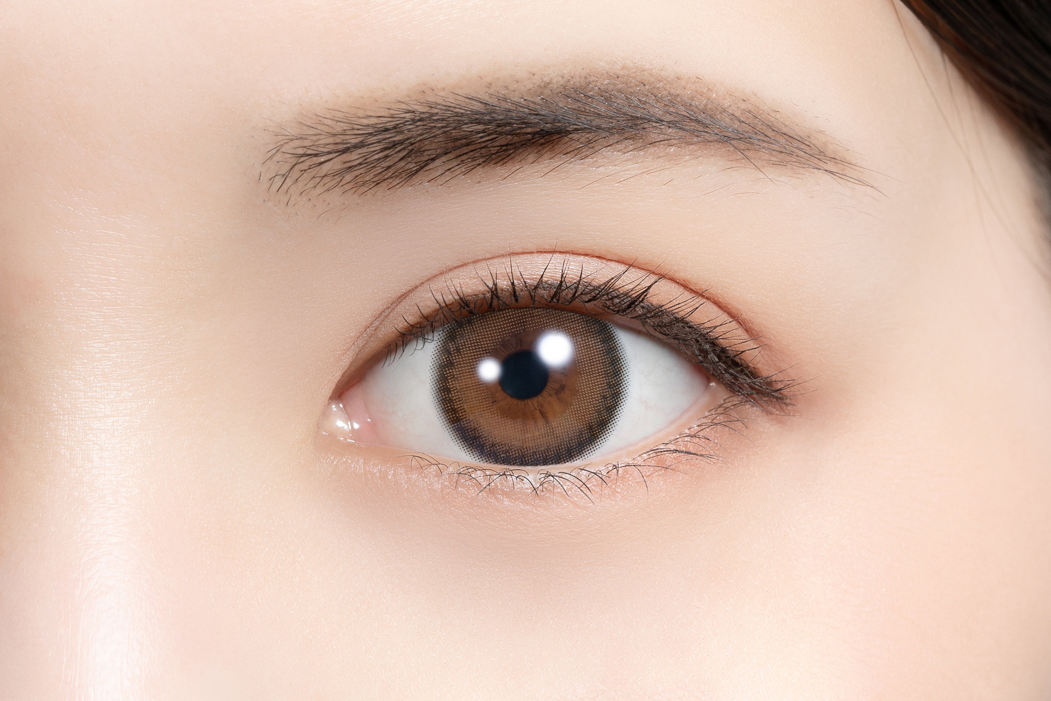 Anel de tiramisu |. 1 dia