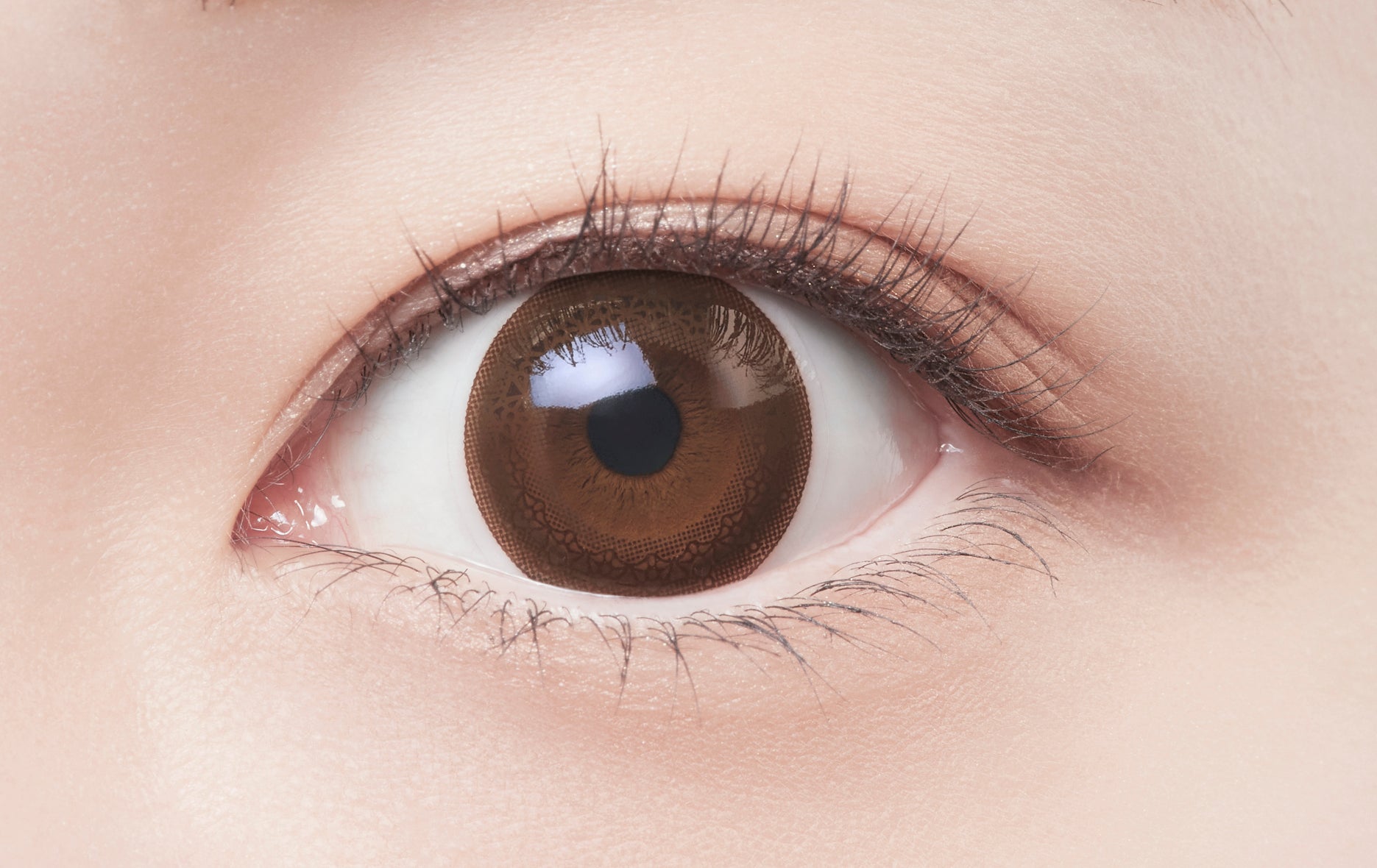 Trucco ricco (Marrone) | 1 giorno