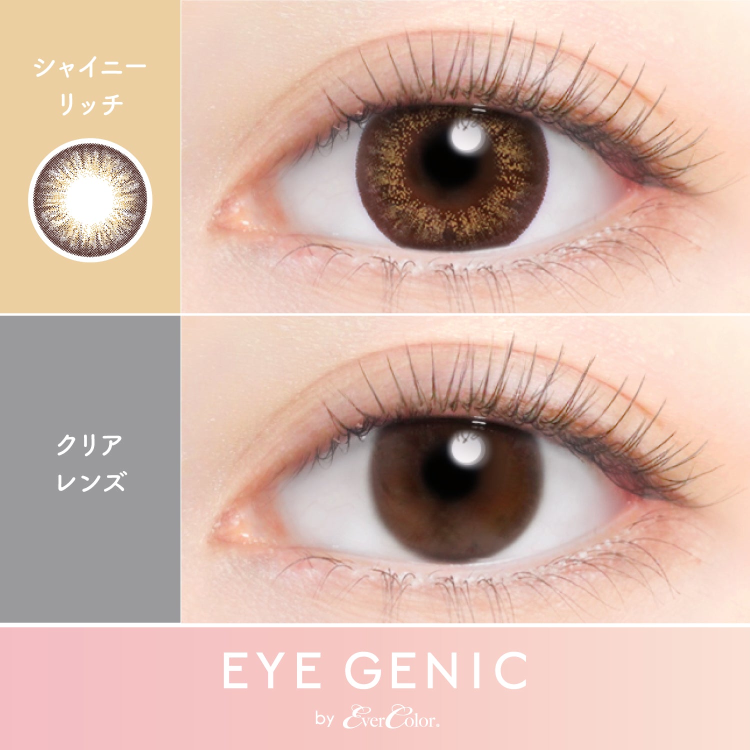 Glänzend Reich | 1Monat