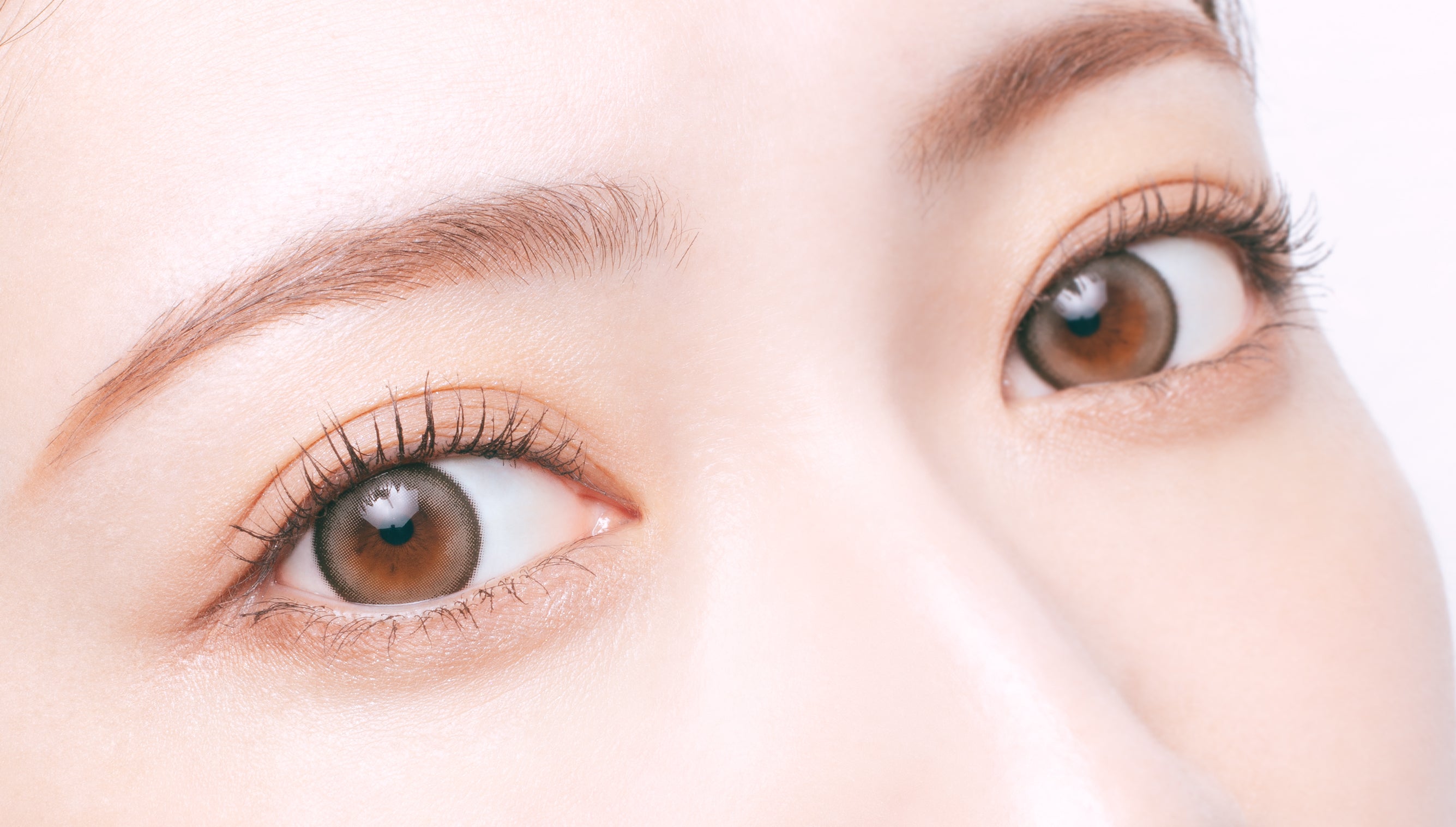 Pengkategorian | 1hari