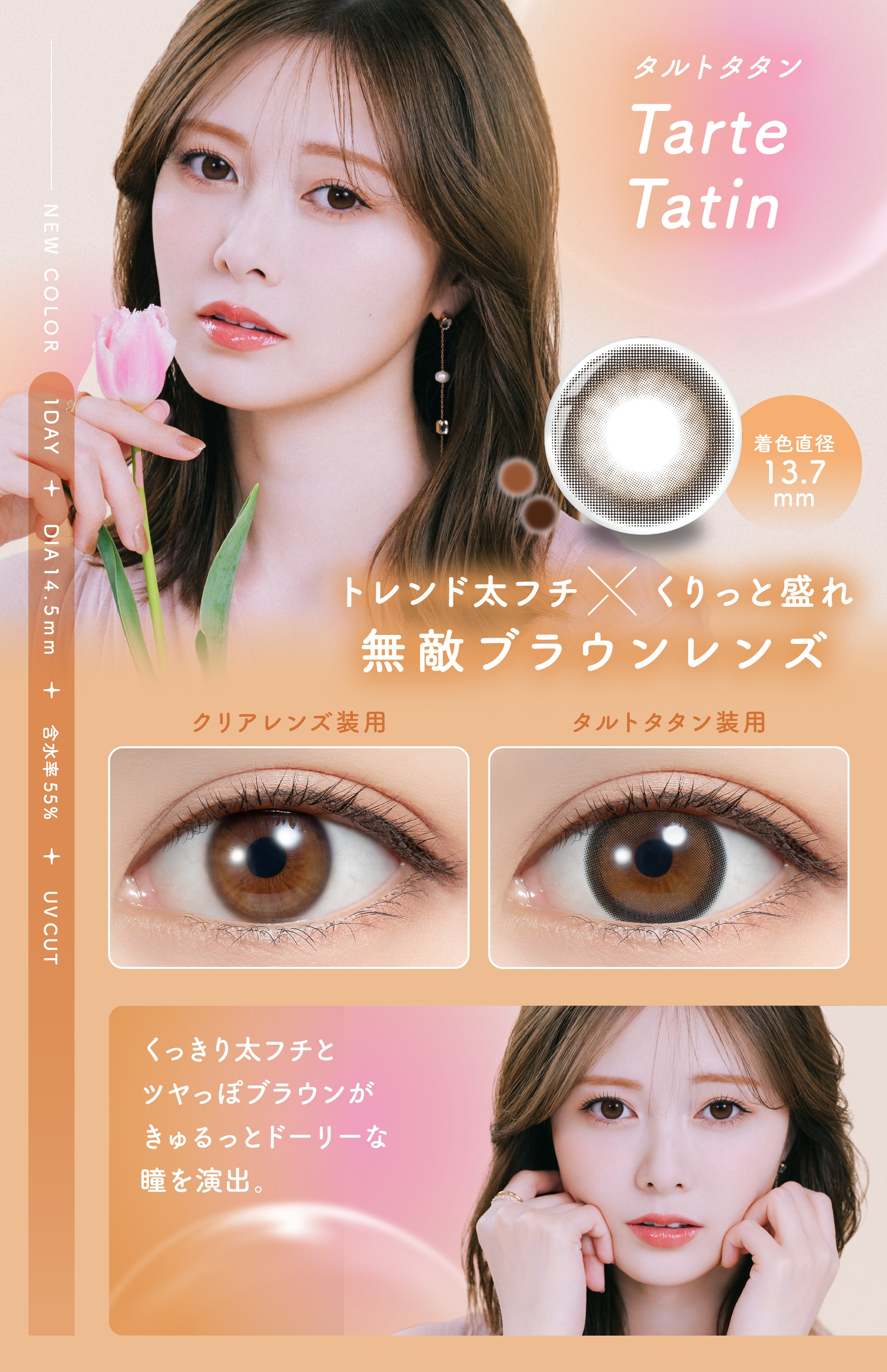 Tarte Tatin |. 1 dia