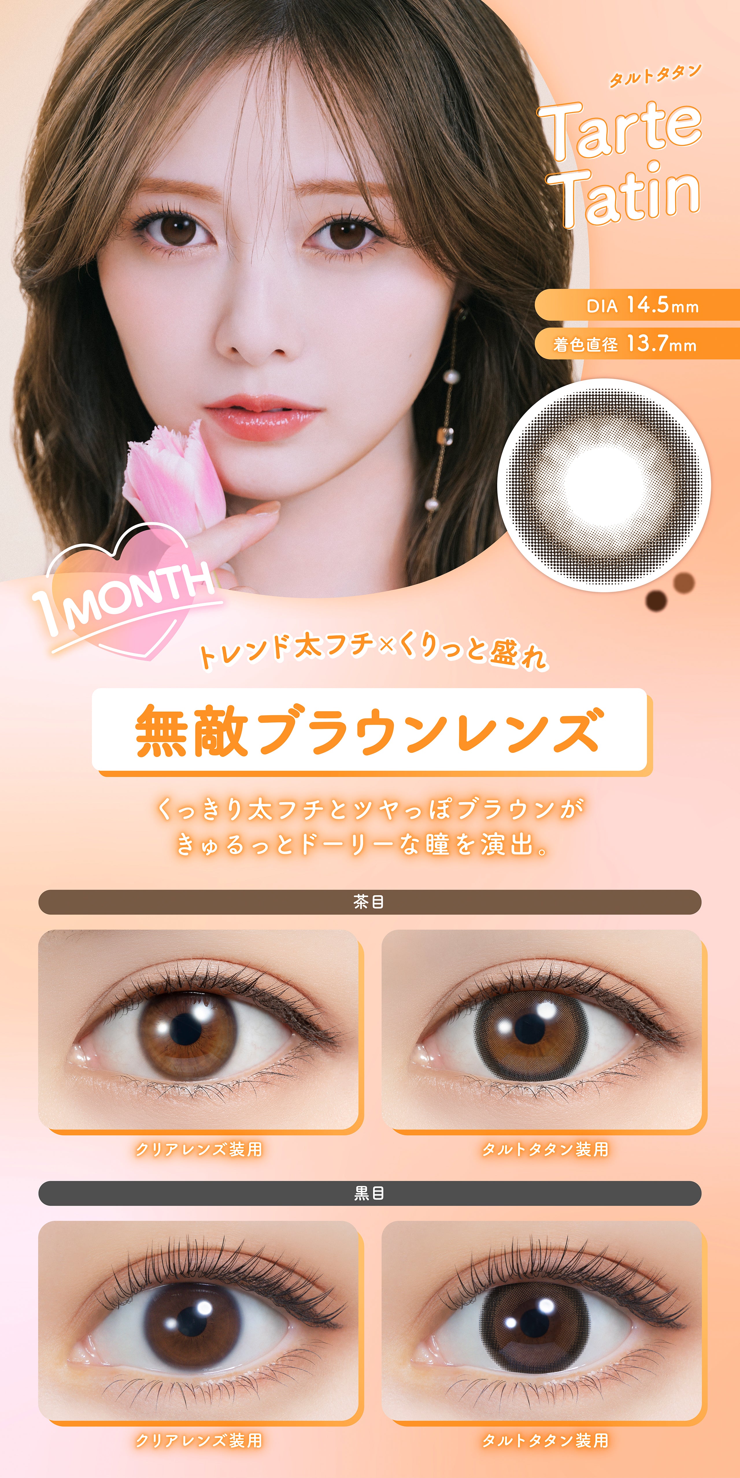 타르트 타탄 | 타르트 타탄 1개월용