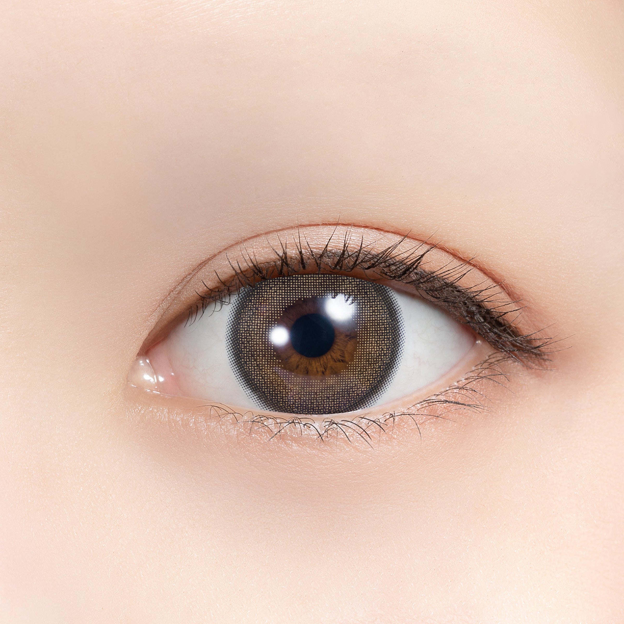 Armond Poodle | 1 dia