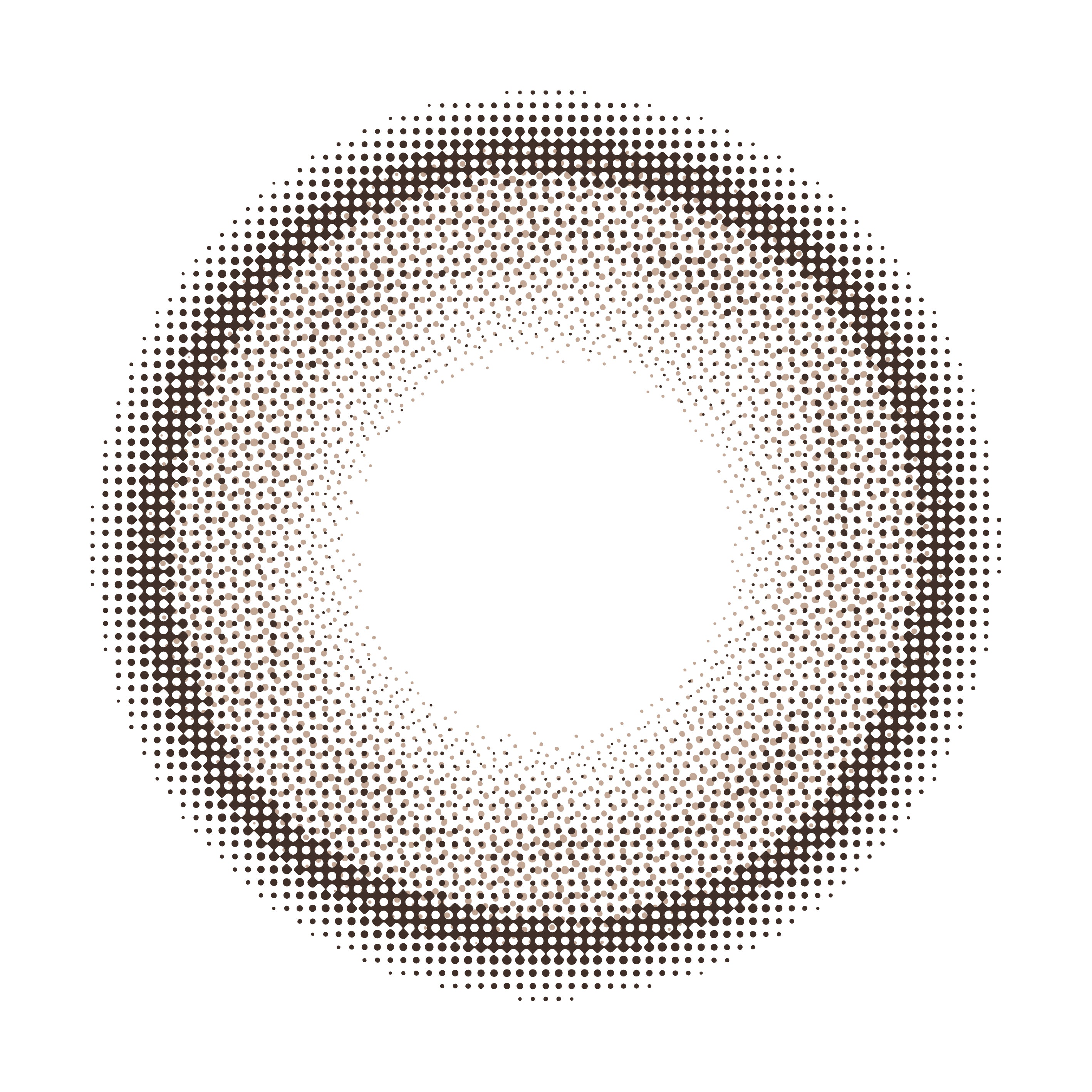 Armond Poodle | 1 dia