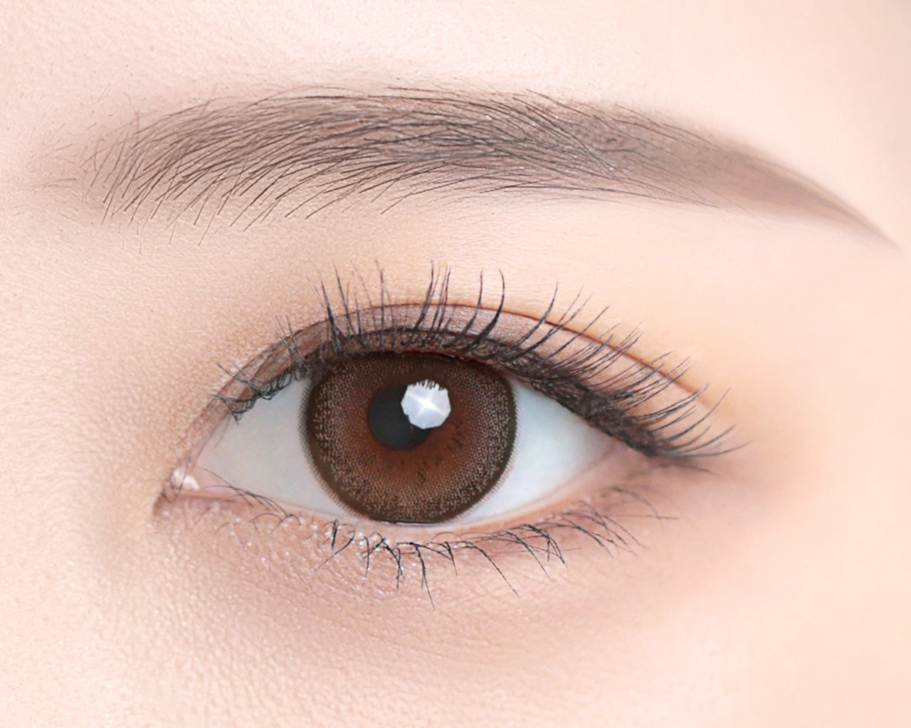 โคโคอา | 1 เดือน