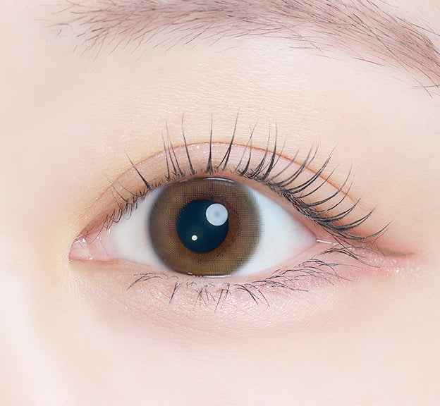 Velo trasparente | 1 giorno