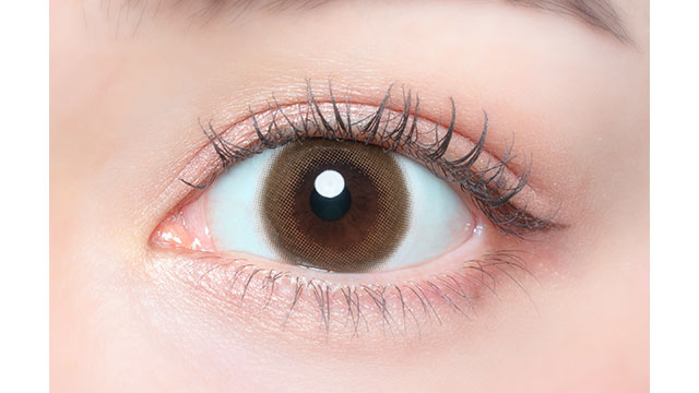 콩고물 롤 토릭 렌즈 | 1일용